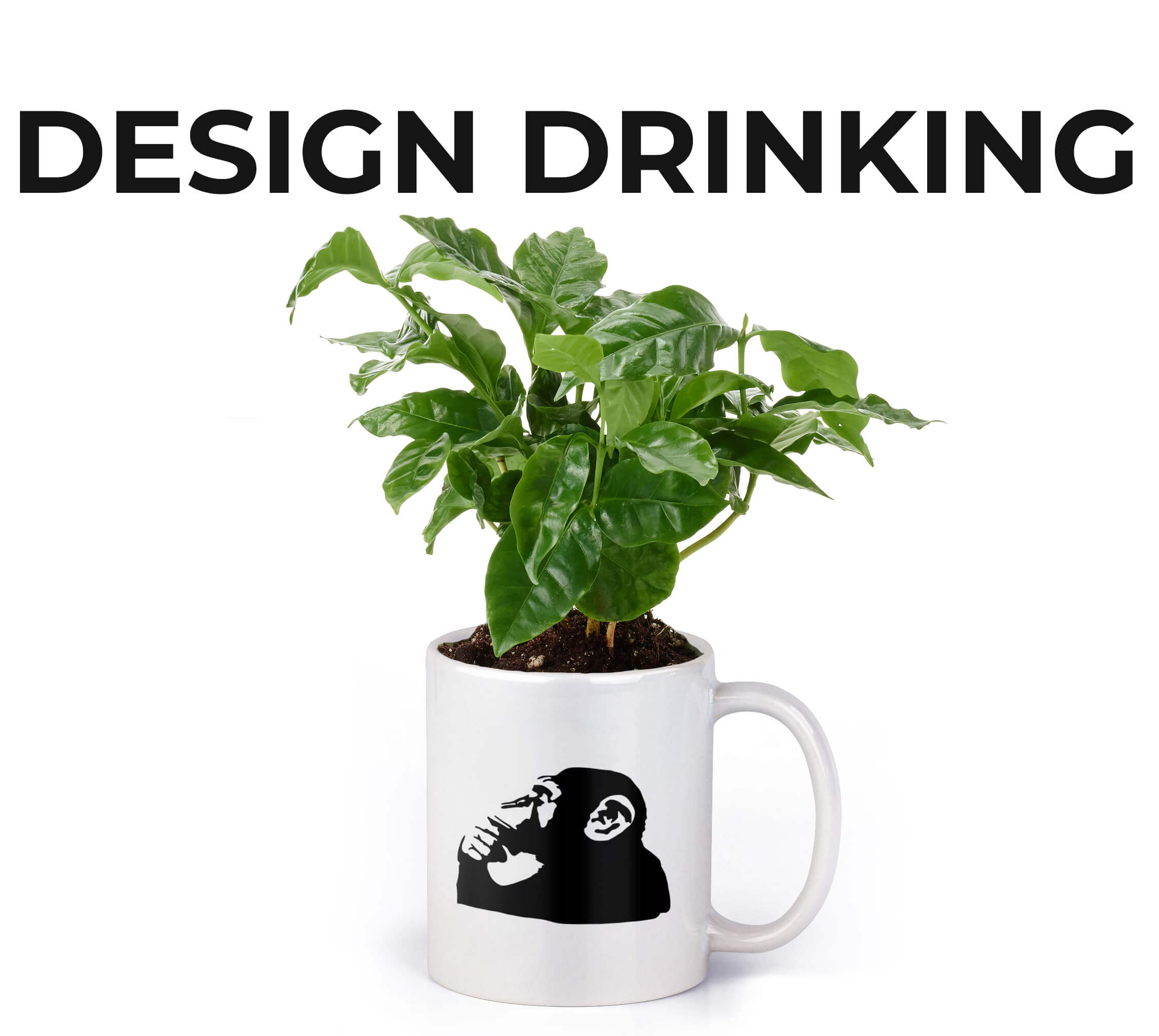 Design Drinking
